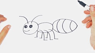 How to draw an Insect Step By Step [upl. by Park853]