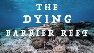 The DYING Barrier Reef [upl. by Herzberg]