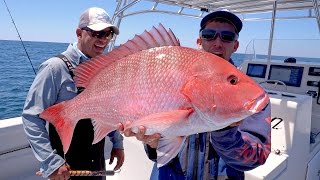 Searching for Giant Cobia and Monster Snapper Fishing Catch N Cook  4K [upl. by Elleinaj]