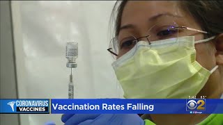 Some States Still Seeing Spike In COVID19 Cases Vaccination Rates Falling [upl. by Renny]