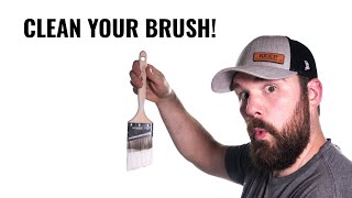 How To Properly Clean a Paint Brush [upl. by Zsolway388]