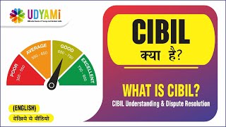 What is CIBIL  CIBIL Understanding and Dispute Resolution [upl. by Wilkins872]