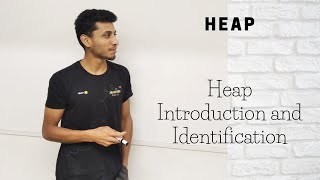 1 Heap Introduction and Identification [upl. by Azarria807]