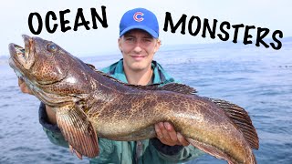 Catching GIANT Lingcod With Live Bait Vancouver Island [upl. by Mcquillin]