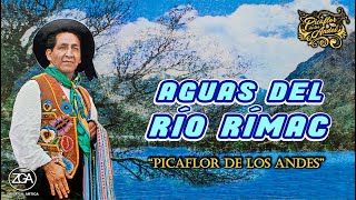 Picaflor de los Andes  AGUAS DEL RÍO RÍMAC [upl. by Avelin]