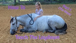 How To Teach Your Horse The ‘Laydown Part 1 No RopesNo Force [upl. by Imoyaba]