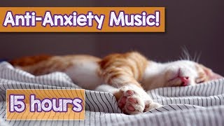 Calming Music for Cats with Anxiety Deep Soothing Music for Anxious ill and Stressed Cats 2018 [upl. by Harwilll]