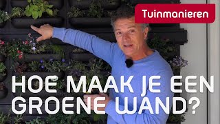 Hoe maak je een groene wand Tuinaanleg  Tuinmanieren [upl. by Akinehc804]