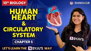 Human Heart and circulatory system Life processes Class 10  Chapter 5  SHIKAR 2024 [upl. by Selina]