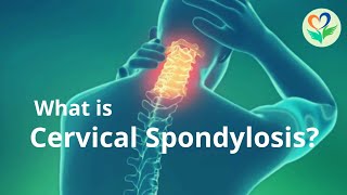 Major Ligaments of the Cervical Spine [upl. by Nabla566]