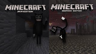 Cartoon Cat Java Vs Cartoon Cat PE Bedrock  Minecraft Comparisons  The Battle of The Cats [upl. by Ahtenek461]