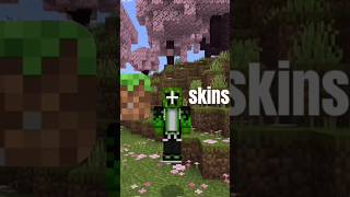 Skin pack Minecraft PE ☠️🤯💀 [upl. by Charyl]