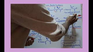 Merrifield Solid Phase Peptide Synthesis [upl. by Eduino]