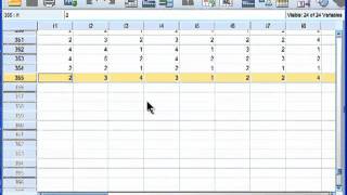 Factor Analysis  SPSS part 1 [upl. by Oneill]