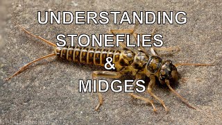 Understanding Stoneflies amp Midges with Tom Rosenbauer [upl. by Kimber]