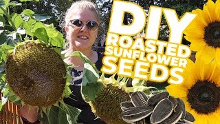 DIY Harvesting amp Roasting Sunflower Seeds 5 DIFFERENT FLAVORS [upl. by Enenej322]