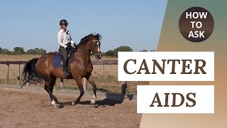 Canter Transitions  How To Ask For Canter [upl. by Ursel]