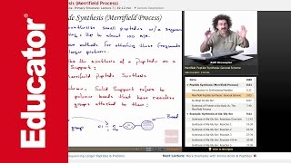 Peptide Synthesis Merrifield Process  Biochemistry Tutorial [upl. by Mellie]