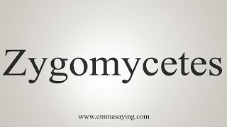 How To Say Zygomycetes [upl. by Gusty632]