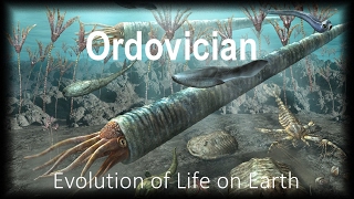 The Evolution of Life part 3  Ordovician [upl. by Adrian725]