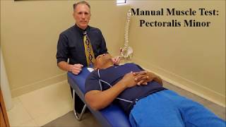 Manual Muscle Testing MMT Pectoralis Minor Pec Minor [upl. by Bordy99]