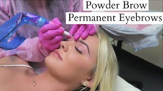 TATTOOED EYEBROWS quotPowder Browquot Experience Before amp After  ARTFUL BEAUTY [upl. by Bengt93]