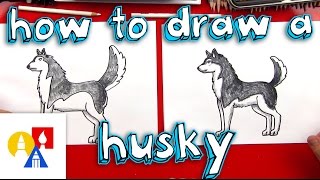 How To Draw A Husky [upl. by Hayton]