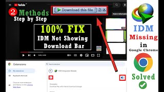 IDM bar not showing on google chrome  Fix Internet Download Manager  IDM 2024  IDM not working [upl. by Cantone]