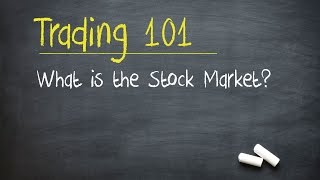 Trading 101 What is the Stock Market [upl. by Norehc272]