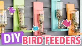 DIY Bird Feeders [upl. by Deehsar]