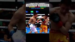 軽量級のスーパースター ジェシー”バム”ロドリゲス！古豪シーサケットをKO！Jesse Rodriguez vs Srisaket Sor Rungvisaiバムvsシーサケットソールビンサイ [upl. by Clymer680]