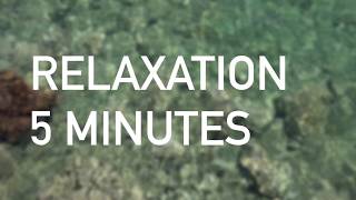 Méditation relaxation ANTISTRESS 🎧🎙 Cédric Michel [upl. by Holloway]