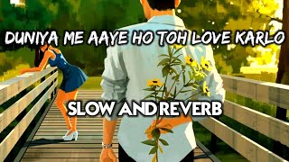 Duniya Me Aaye Ho Toh Love Karlo 🎶 Remix  Slow And Reverb 💖 [upl. by Gideon43]