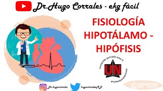 Fisiología del eje HIPOTÁLAMOHIPÓFISIS [upl. by Maureene]