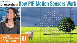 How PIR Motion Sensors Work  The Learning Circuit [upl. by Ronyam]