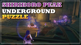 SHIRIKORO PEAK PUZZLE  Tsurumi Island Underground Puzzle  Tsurumi Island  Genshin Impact [upl. by Galer]