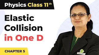 Elastic Collision in One Dimension  Work Energy and Power  Class 11 Physics [upl. by Ainevul]