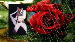 Elvis Presley  The Twelfth Of Never  rehearsal with lyrics [upl. by Anileva]