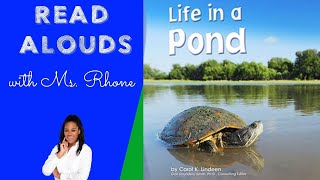 Life in a Pond by Carol K Lindeen  Kindergarten Read Aloud [upl. by Cozza]