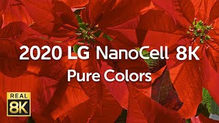 2020 LG NanoCell 8K l Pure Colors 8K HDR 60fps [upl. by Jordana171]