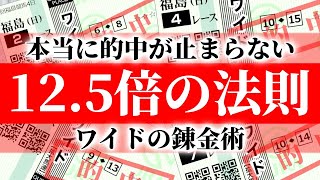 【競馬 オッズの法則】ワイド１２５倍の法則で的中が止まらない！ 095 [upl. by Mauro]