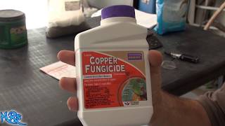 ⟹ Copper fungicide  Bonide  Product overview [upl. by Llemart]