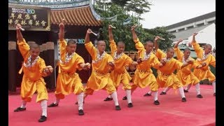 Shaolin Kungfu Masters [upl. by Damon]