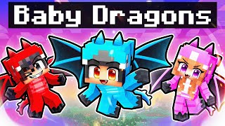 We Turned Into BABY DRAGONS In Minecraft [upl. by Anagrom420]