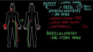 Peripheral NEUROPATHY Causes and Cures 2024 [upl. by Akeihsal181]