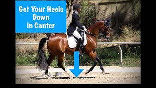 How to Keep Your Stirrups In Canter [upl. by Odille549]