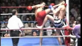 Peter Aerts Greatest Knockouts [upl. by Graehl]