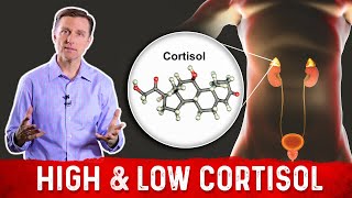 The HPA Axis and the Stress Response [upl. by Lipsey52]