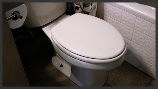 How to fix a loose toilet seat [upl. by Reibaj]