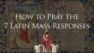 7 Latin Mass Responses to Memorize [upl. by Bonacci]